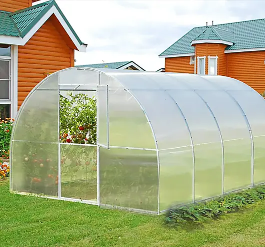 Walk-in Tunnel Green house